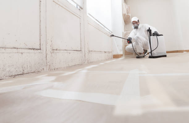 24/7 Emergency Mold Inspection experts in Walpole, MA